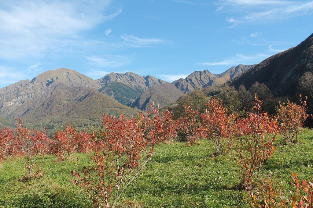 PasturoAgriturismo Il Mirtillo B,B别墅 外观 照片