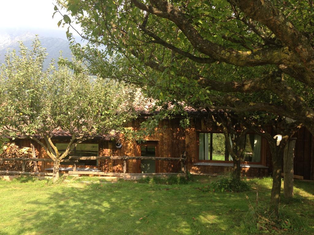 PasturoAgriturismo Il Mirtillo B,B别墅 外观 照片