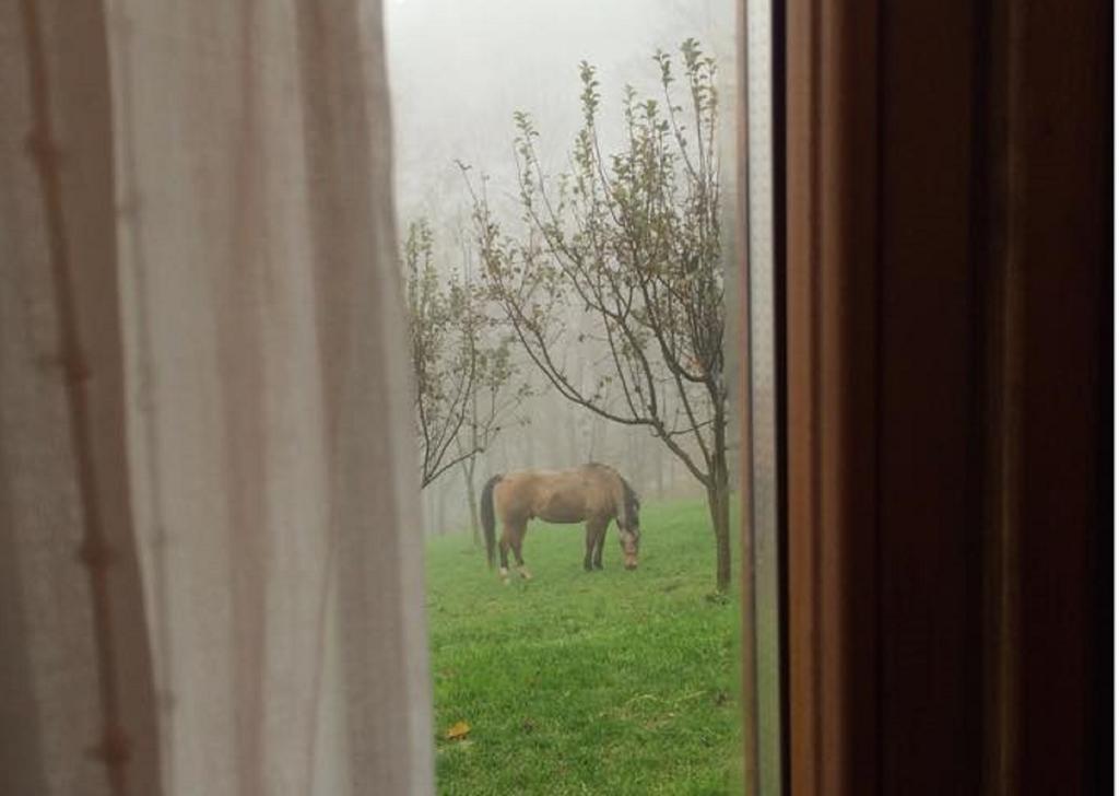 PasturoAgriturismo Il Mirtillo B,B别墅 外观 照片