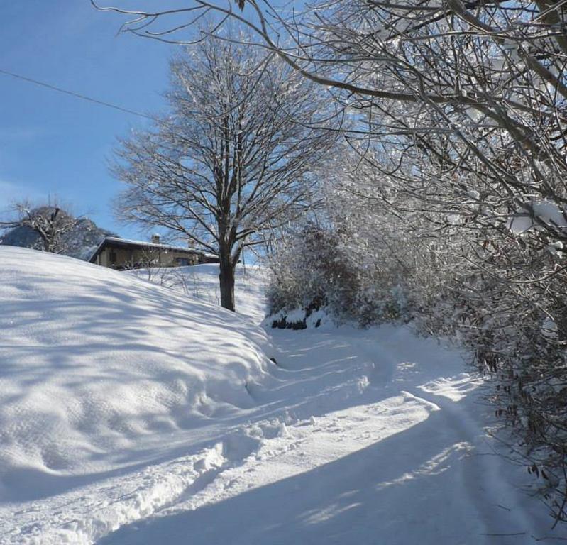 PasturoAgriturismo Il Mirtillo B,B别墅 外观 照片