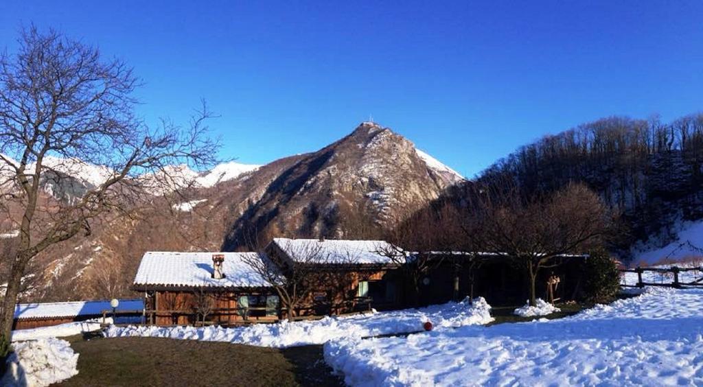 PasturoAgriturismo Il Mirtillo B,B别墅 外观 照片