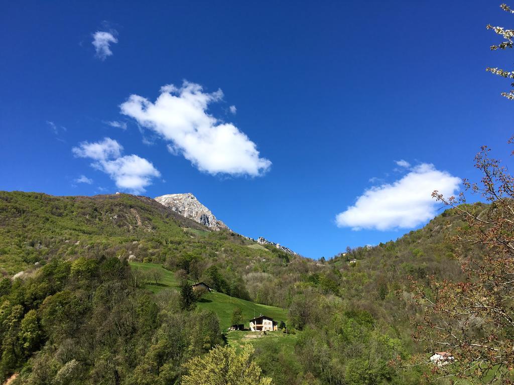 PasturoAgriturismo Il Mirtillo B,B别墅 外观 照片
