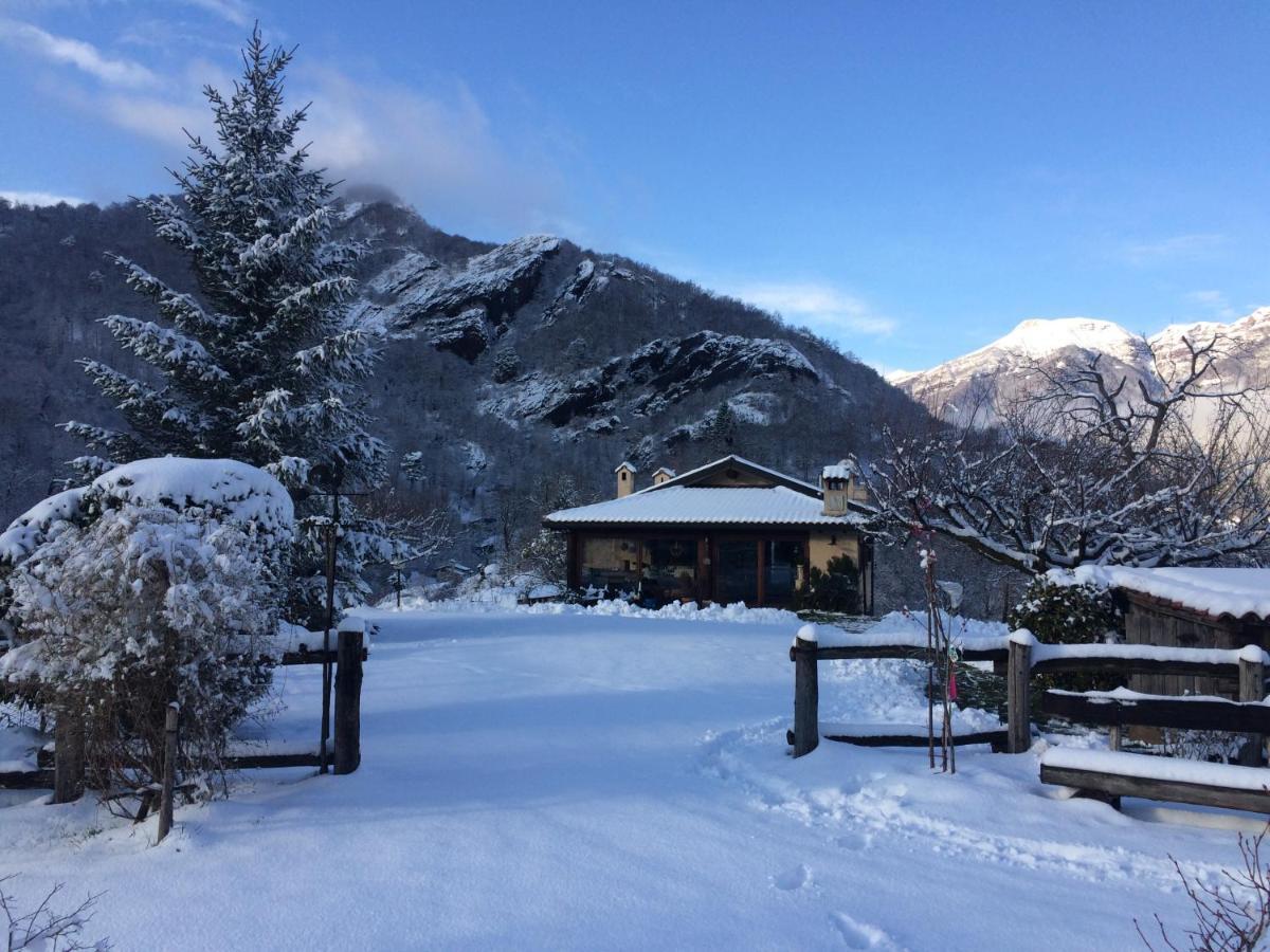 PasturoAgriturismo Il Mirtillo B,B别墅 外观 照片
